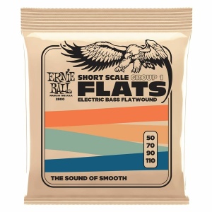 Ernie Ball 2800 SHORT SCALE FLAT GROUP 1
