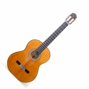 SANCHIS SOLEA