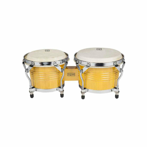 BONGOS QPP-B1
