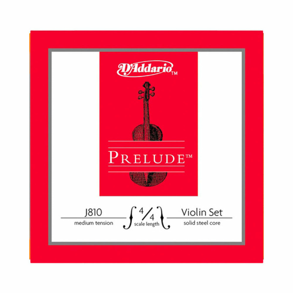 PRELUDE J810 MUTA CORDE VIOLINO 3/4 - VIOLINO