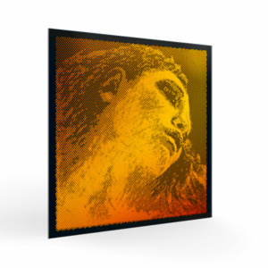 PIRASTRO EVAH PIRAZZI GOLD SOL - VIOLINO