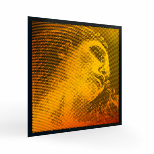PIRASTRO EVAH PIRAZZI GOLD SOL - VIOLINO