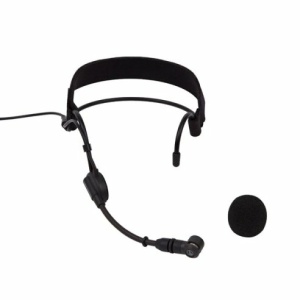 AUDIO TECHNICA PRO9 CW