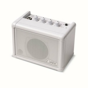 CARRY ON CO-SPEAKER - MINI SPEAKER