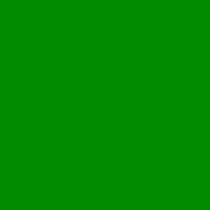 EUROLITE 139 COLOR FOIL 61X50 PRIMARY GREEN