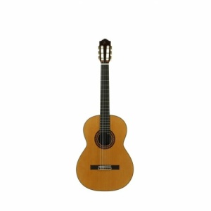 JOSE TORRES JTC-100