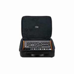 MOOG SUBSEQUENT 25 SR CASE