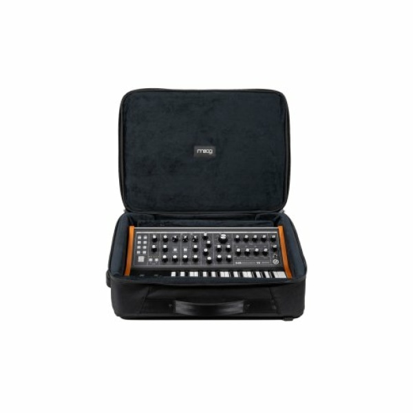MOOG SUBSEQUENT 25 SR CASE