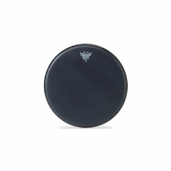 REMO BA-0813-ES AMBASSADOR  BLACK SUEDE