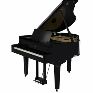 ROLAND GP-9 PE