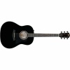 TAYLOR 217e BK PLUS MAPLE SPRUCE