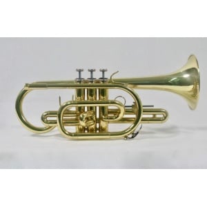 OP-CR-900L CORNETTA LACCATA