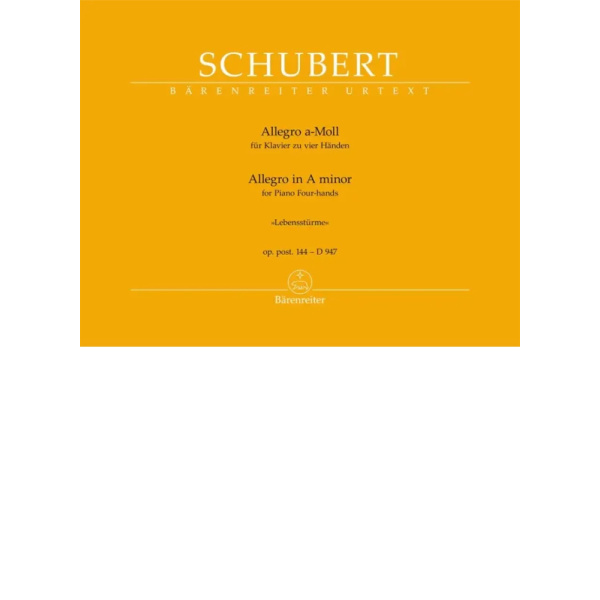 SCHUBERT - Allegro in A minor "Lebenssturme"
