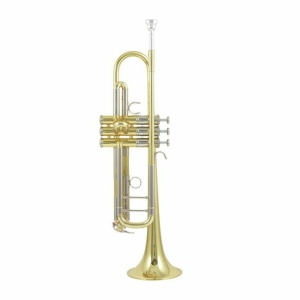 YTR-8335 04 TROMBA SIB