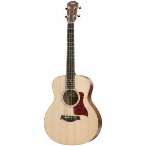 GS MINI-E BASS BASSO ACUSTICO