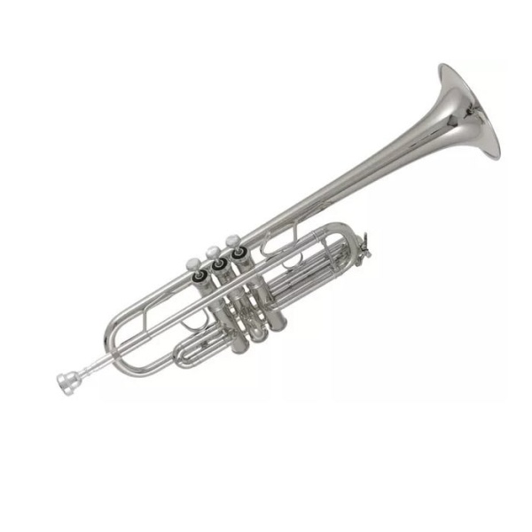 C180S-239 TROMBA IN DO