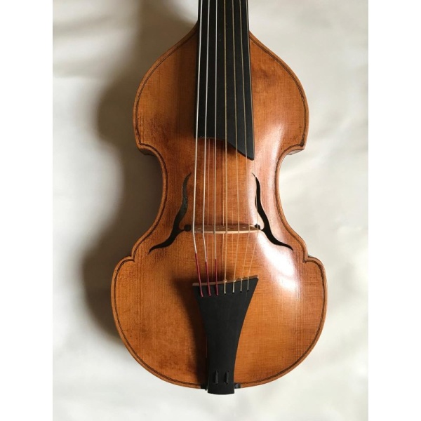 Viola d'amore di liuteria Rosenblum
