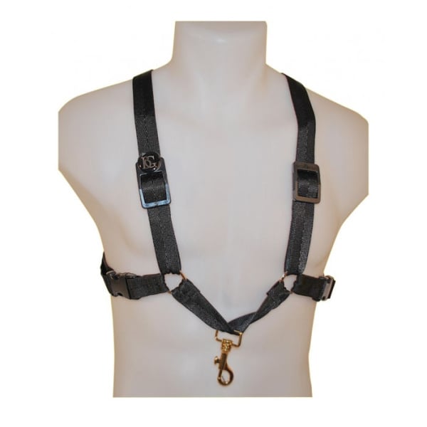 IMBRAGATURA SASSOFONO A "T" BG S40MSH
