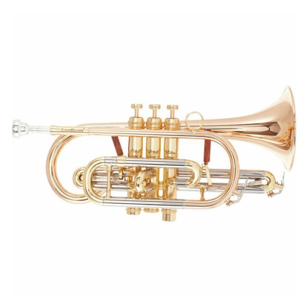 CAROL BRASS CCR6882T-GSS-BB-L