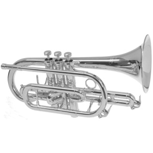 CAROL BRASS CCR3880-GSS-BB-S