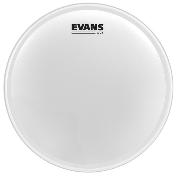 PELLE TIMPANO 16" EVANS B16UV1