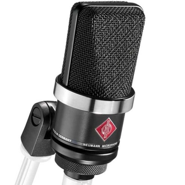 GEORG NEUMANN TLM 102 mt
