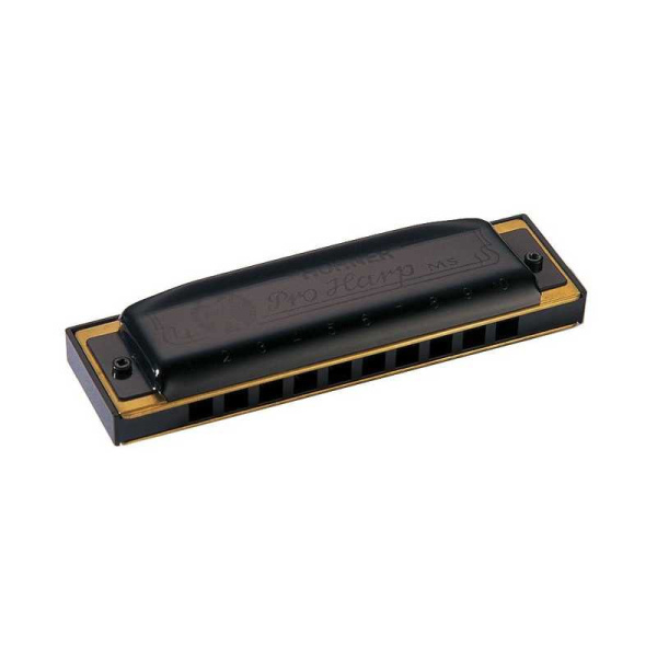 HOHNER PRO HARP MS 562-20 D/RE - ARMONICA A BOCCA