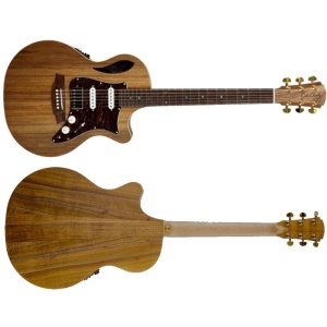Cole Clark Thin Line TL2EC-BLBL-HSS