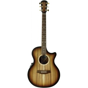 COLE CLARK ANGEL GRAND AUDITORIUM 2 SERIES CCAN2EC-BLBLR SATIN SUNBURST