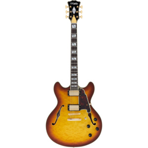 D'ANGELICO EXCEL DC XT ICED TEA BURST
