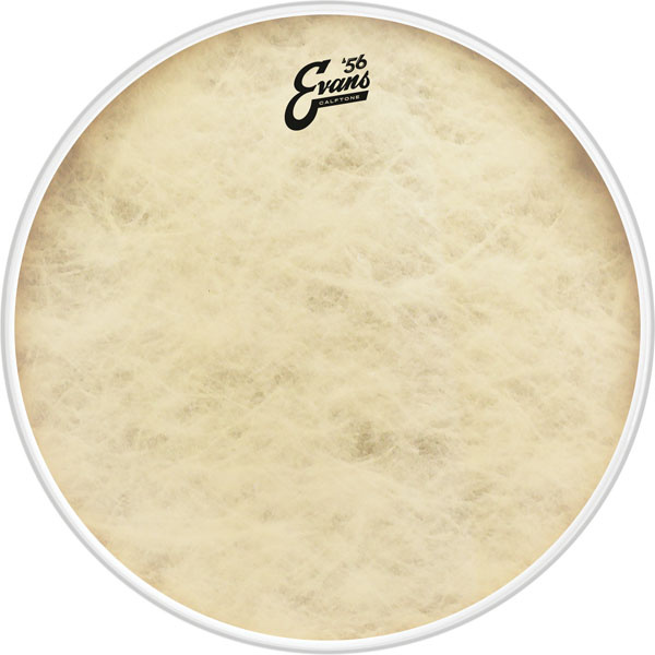 PELLE EVANS BD22CT CALFTONE BASS