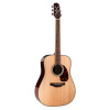 TAKAMINE TEP3 SERIES FT340 BS NATURAL SATIN
