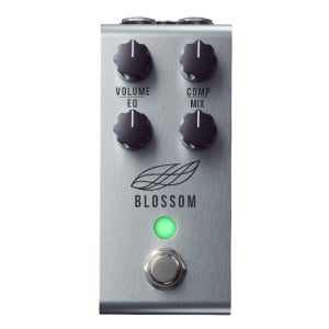 JACKSON AUDIO BLOSSOM