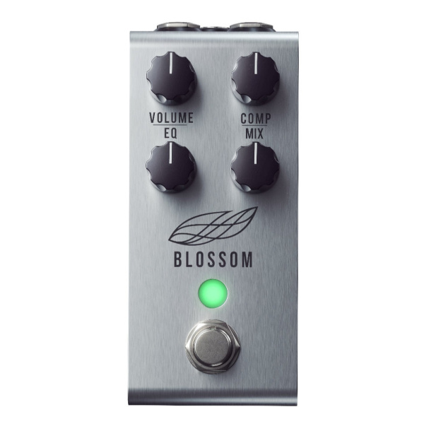 JACKSON AUDIO BLOSSOM