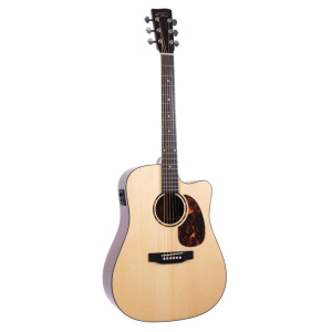 RECORDING KING G6 SERIES SOLID TOP DREADNOUGHT CUTAWAY W/ FISHMAN EQ