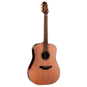 TAKAMINE TEP3 SERIES FN15 AR NATURAL SATIN