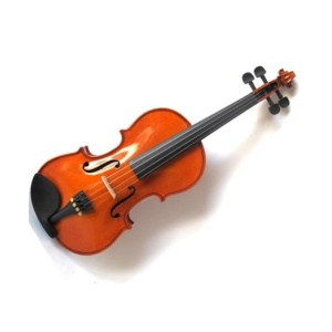 P4010ES 4/4 VIOLINO TASTIERA EBANO