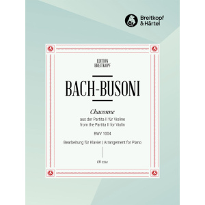 BACH - Chaconne from the Partita II in D minor BWV 1004