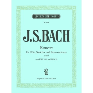 BACH - Flute Concerto in E minor