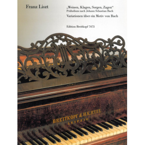 LISZT - Weinen