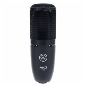 AKG P120