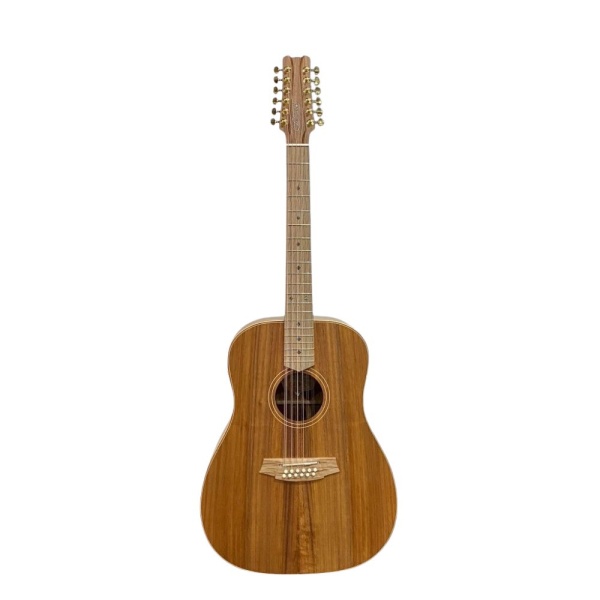 COLE CLARK FAT LADY DREADNOUGHT 2 SERIES CCFL2E 12 BLBL