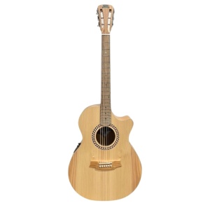 COLE CLARK STUDIO RECORDING SERIES GRAND AUDITORIUM SRAN2EC BB