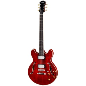 EASTMAN TRUETONE GLOSS T184MX CLASSIC FINISH