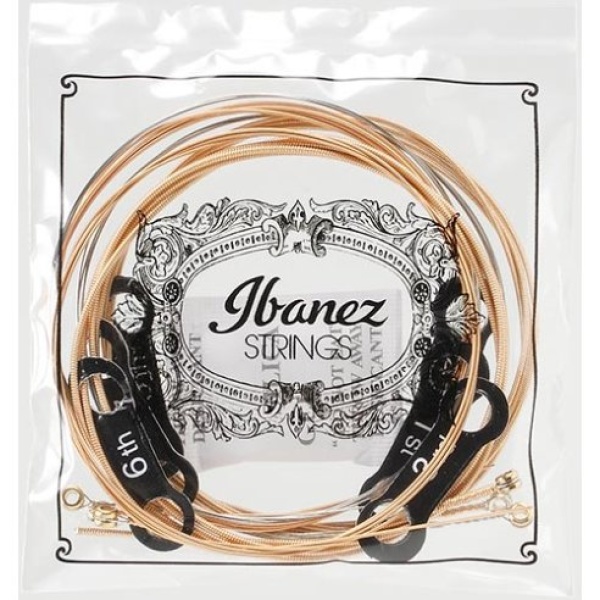 IBANEZ IACSP6C  12-53 PHOSPHOR BRONZE COATED