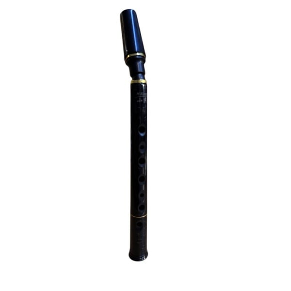 Mini pocket saxophone Xaphoon  in ABS in Do