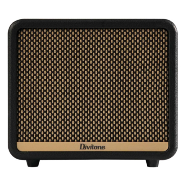 DIVITONE DAM-10BK DIGITAL AMP