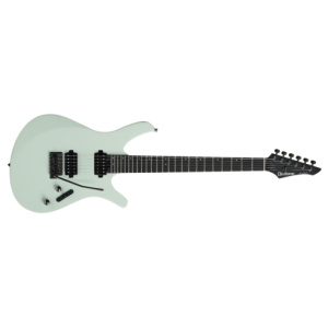 DIVITONE DSG-10 GY  GRAY SMART GUITAR + BAG