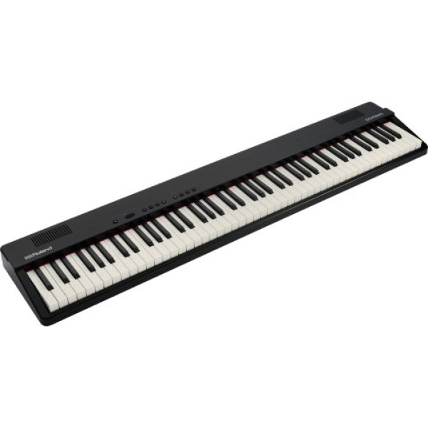 ROLAND GO-88PX