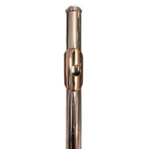 TESTATA ARGENTO 14K GOLD LIP-PLATE AND RISER